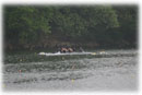 Men's Varsity 4+
