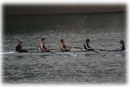 Men's Varsity 4+