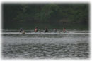 Women's Varsity 4+