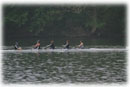 Women's Varsity 4+
