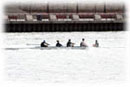 Men's Novice 4+