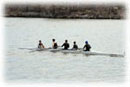 Men's Novice 4+