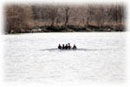 Men's Novice 4+