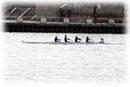Men's Varsity 4+