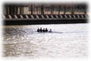 Men's Varsity 4+