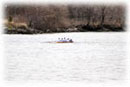 Post Women's 4+