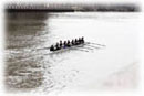 Women's Novice 8+