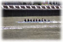 Women's Novice 8+