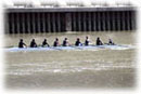 Women's Novice 8+