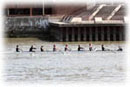 Women's Novice 8+